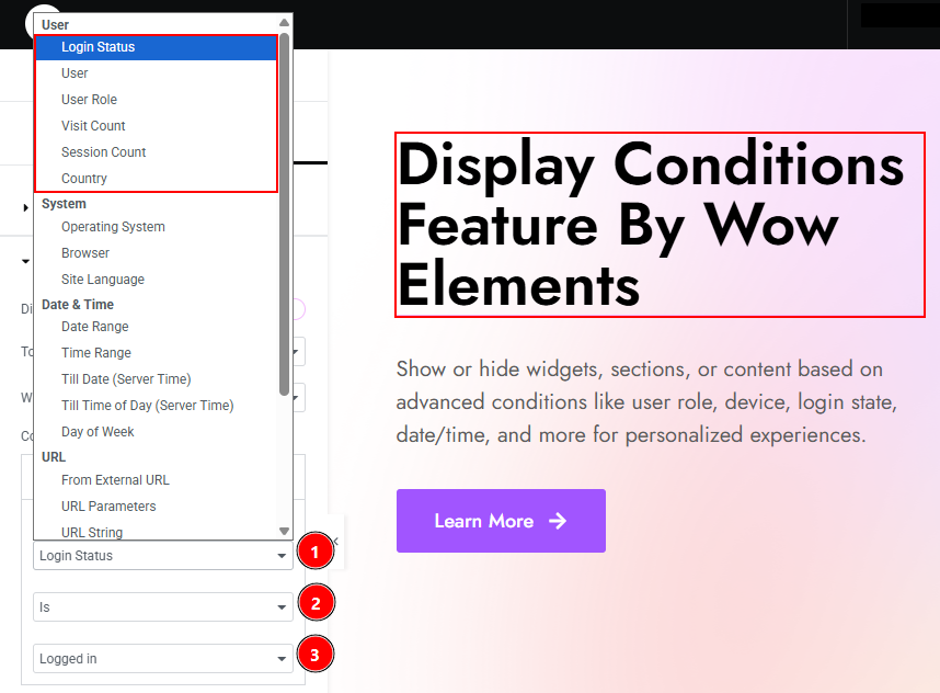 User Condition of Display Conditions