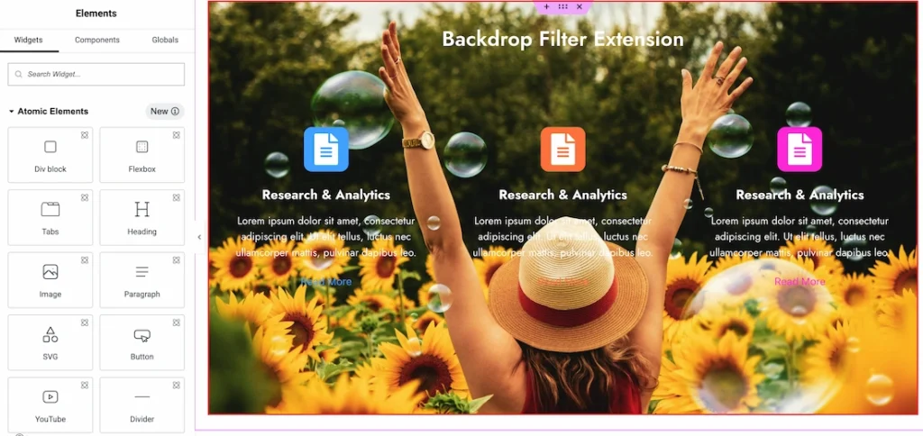 Initial Setup for Backdrop Filter Extension