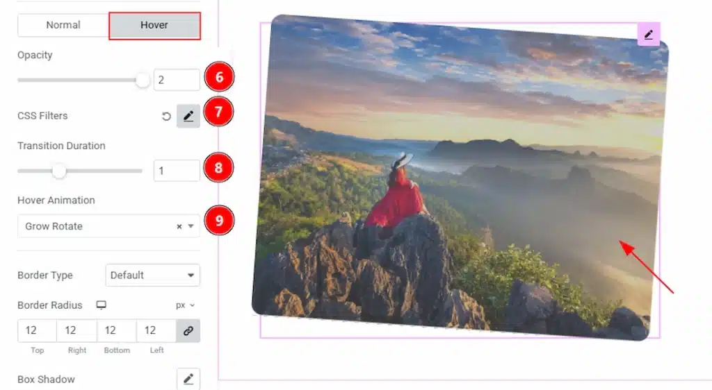 Style - image - hover